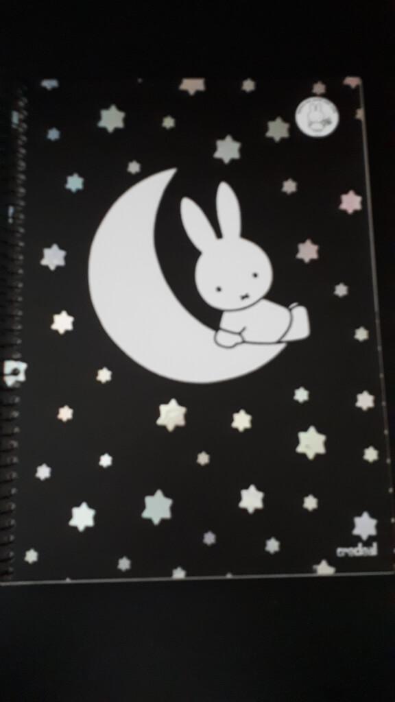 nijntje planner